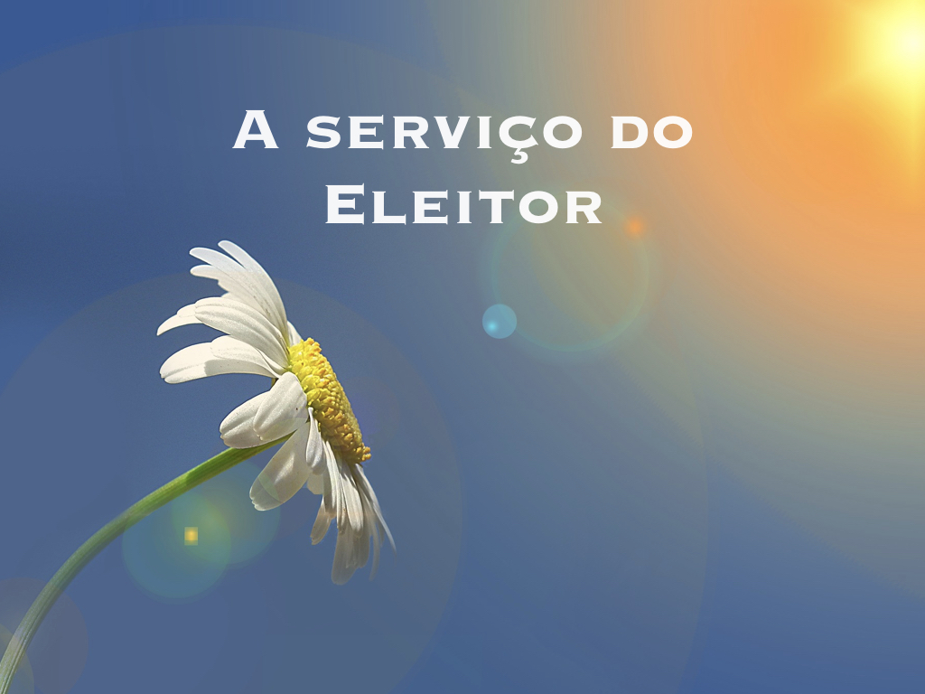 A serviço do Eleitor!